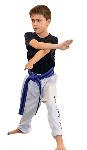 Junior WTF Taekwondo Fitness Martial Arts