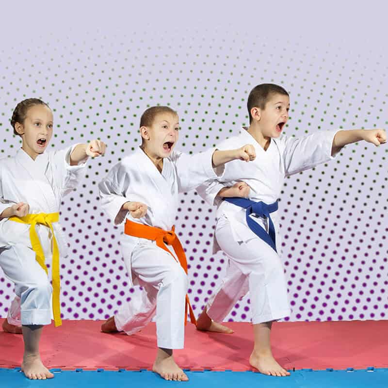 Martial Arts Lessons for Kids in Westerville OH - Punching Focus Kids Sync